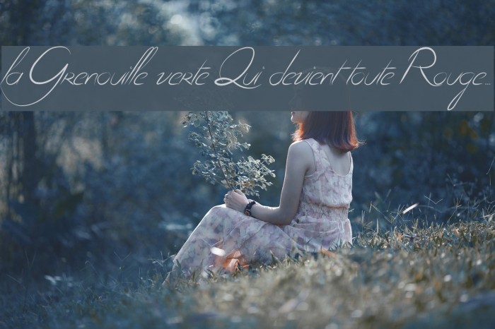 la Grenouille verte Qui devient toute Rouge... Font examples