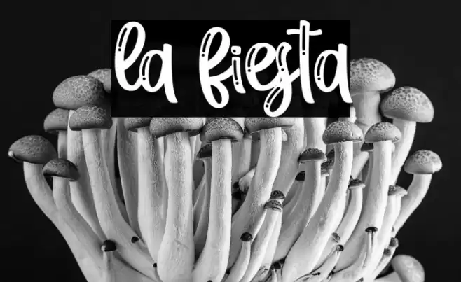 la fiesta Шрифта examples