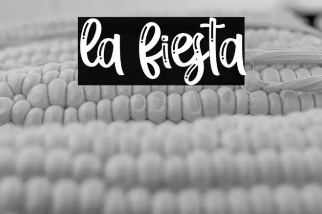 la fiesta Шрифта examples