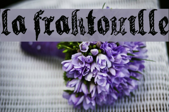 la fraktouille Font examples