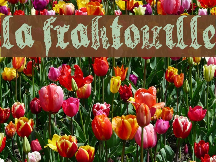 la fraktouille Font examples