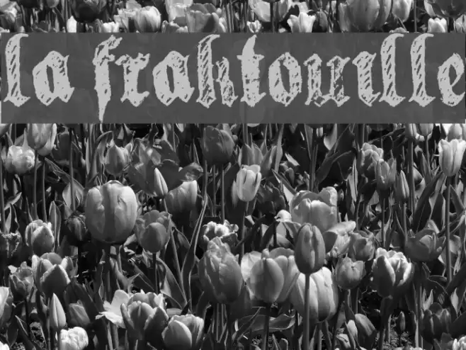 la fraktouille Caratteri examples