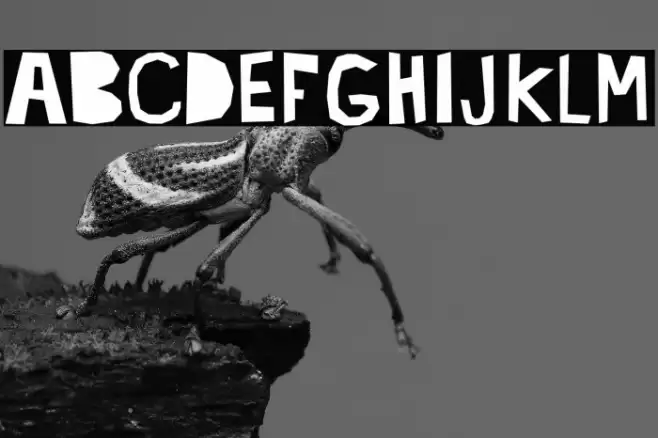 lacabeza Font examples