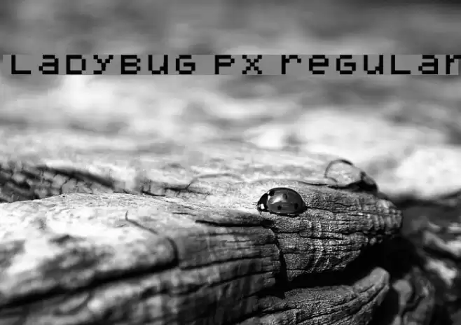 ladybug px Regular Font examples