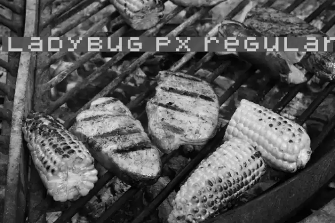ladybug px Regular Font examples