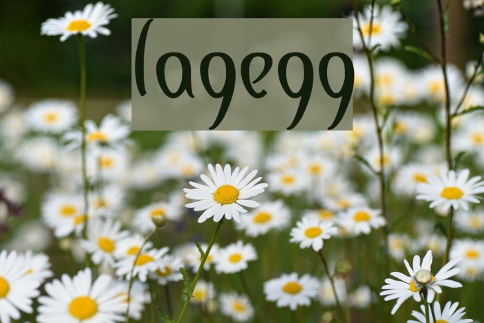 lagegg Font examples