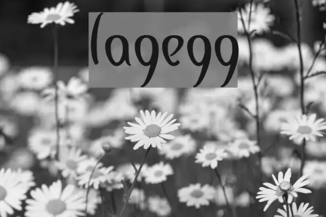 lagegg Example 1