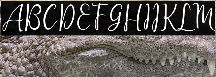 lanara Script-demo Example 3