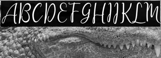 lanara Script-demo Font examples