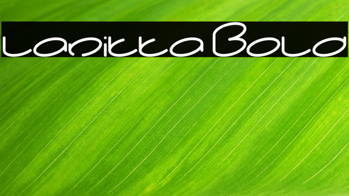 lanitta Bold Example 3