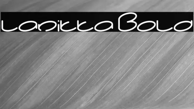 lanitta Bold Example 3