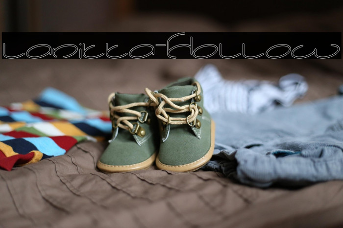 lanitta-Hollow Example 3