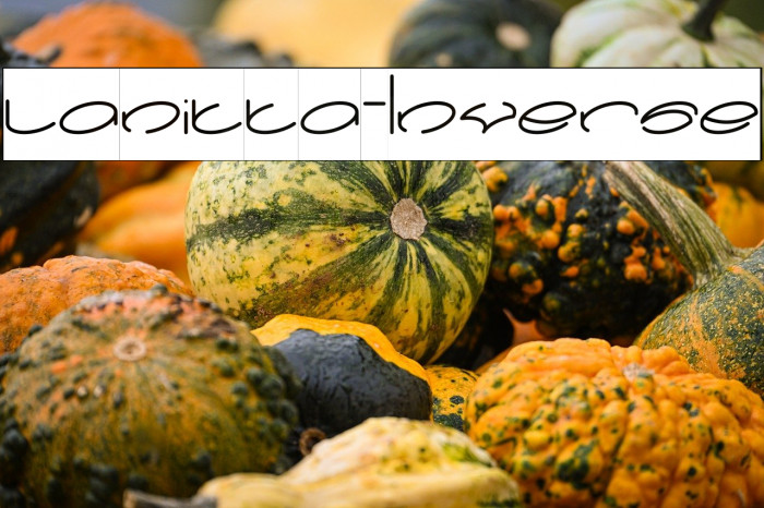 lanitta-Inverse Example 1