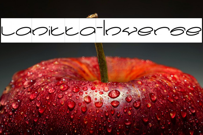 lanitta-Inverse Example 2