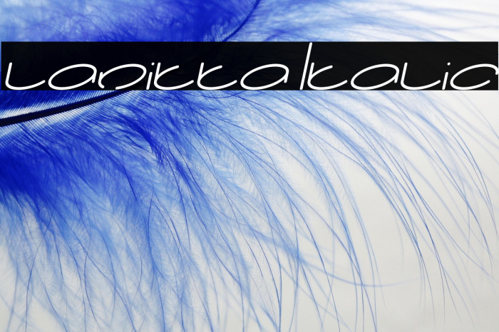 lanitta Italic Example 2