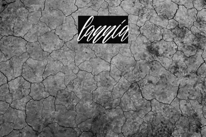 lannia Fuentes examples