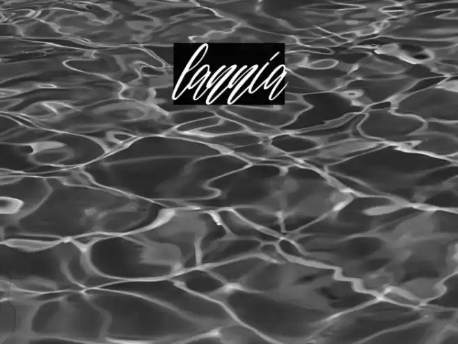 lannia Fuentes examples