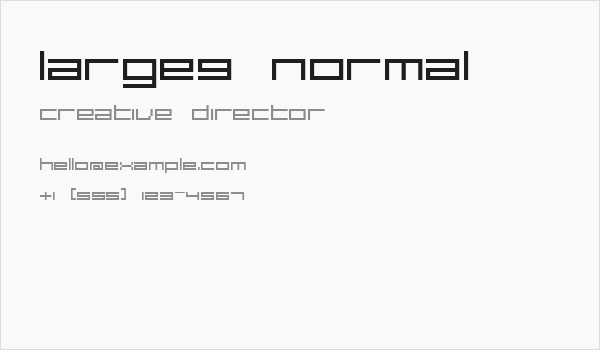large9 Normal Business Card