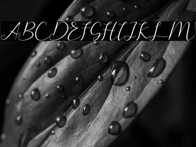 larisa Font examples