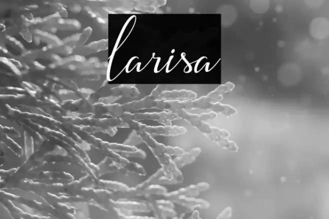 larisa Font examples