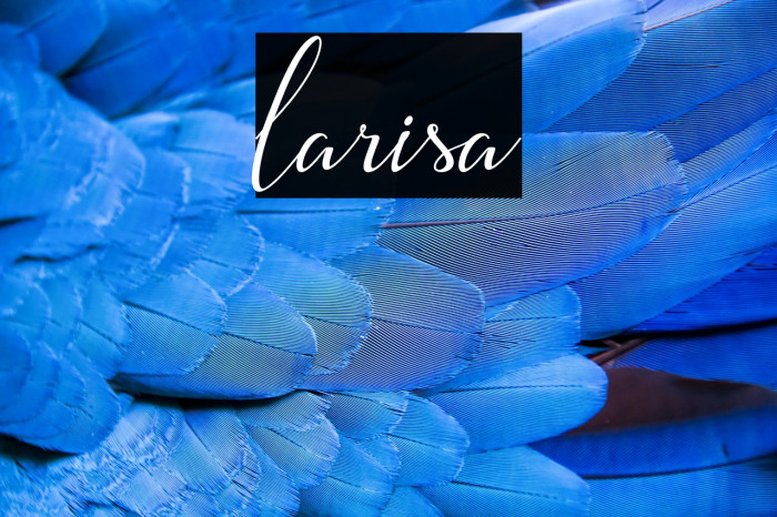 larisa Example 3