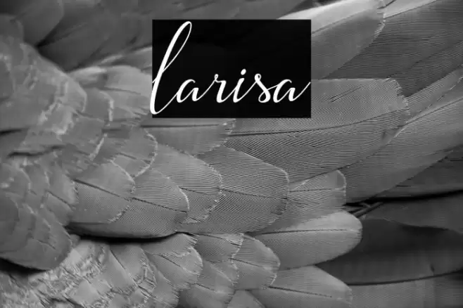 larisa Font examples