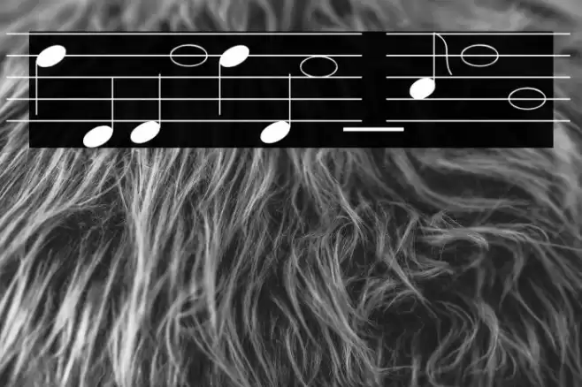 lasolsi_not Font examples