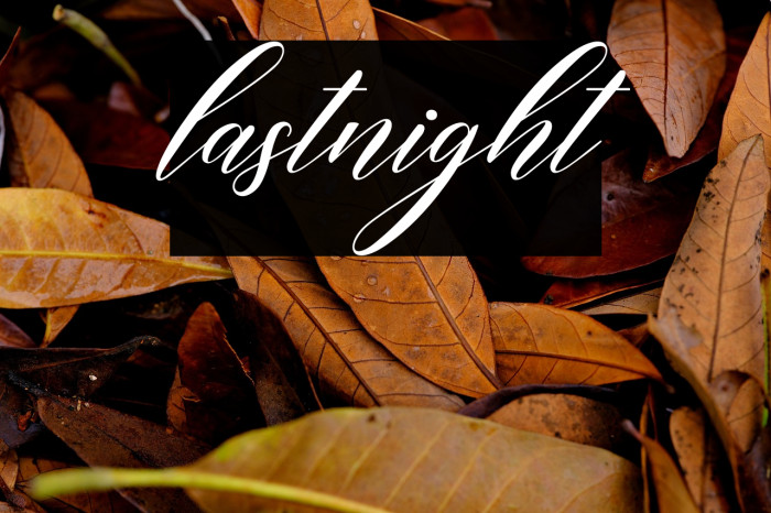 lastnight Example 1