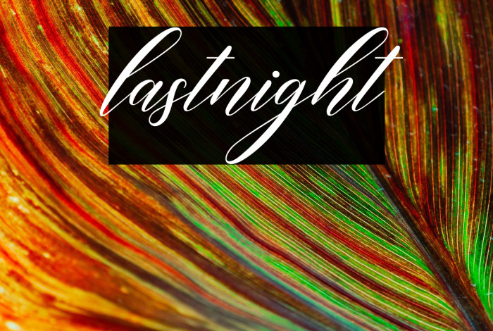 lastnight Example 2
