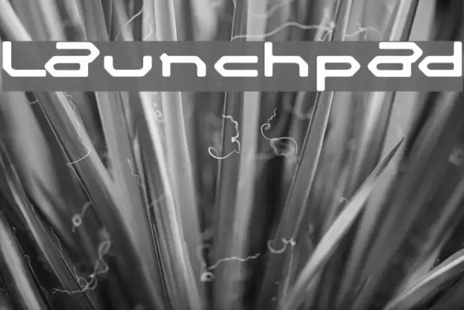 launchpad Font examples
