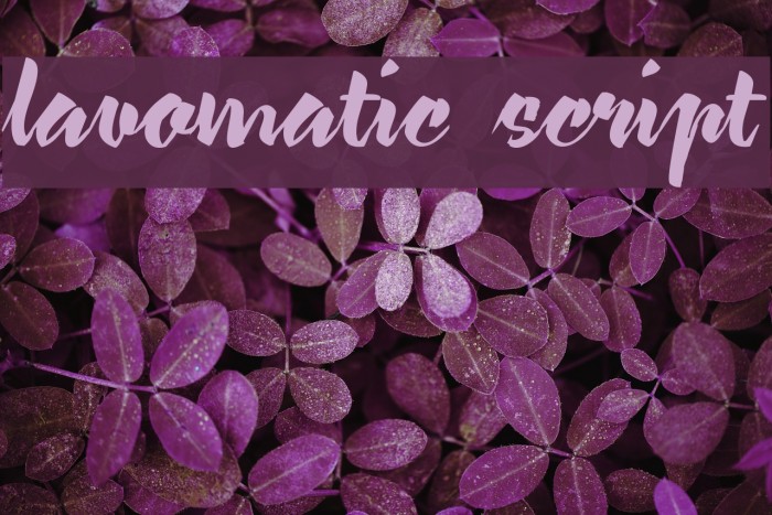 lavomatic script Font examples