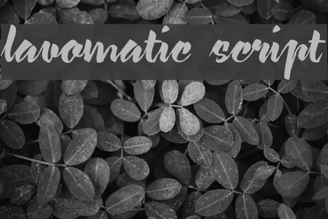 lavomatic  script Font examples