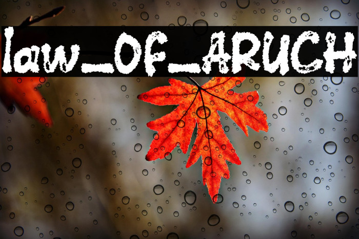 law_OF_ARUCH Example 2