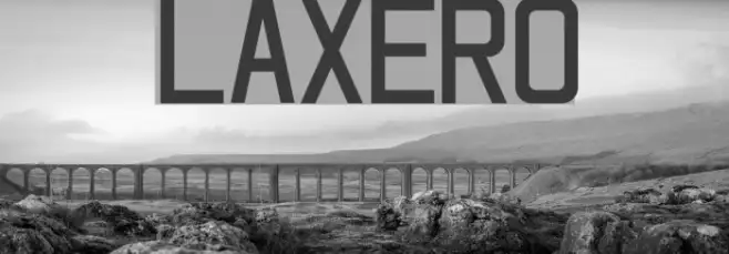 laxero Example 3
