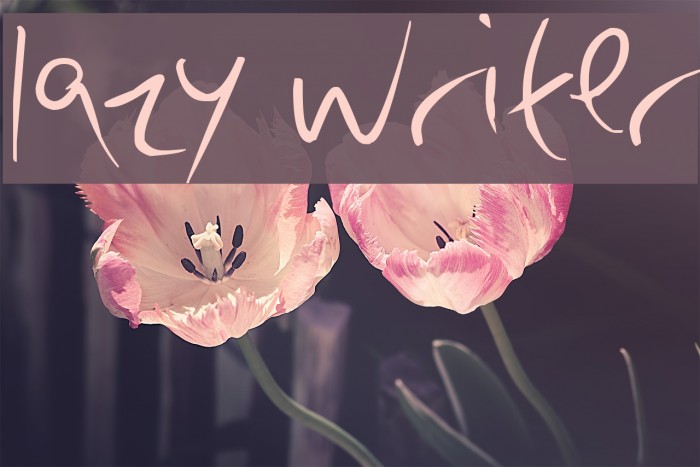 lazy writer Font examples