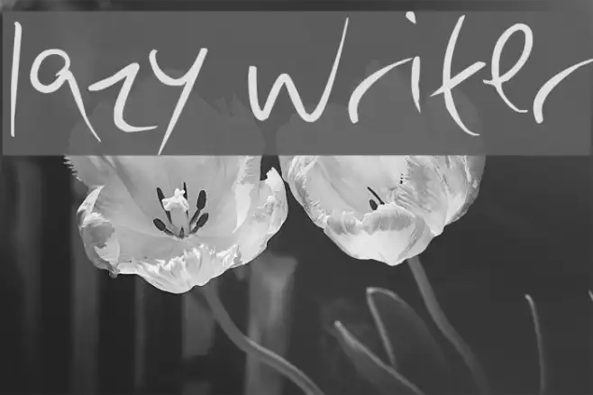 lazy writer Example 1