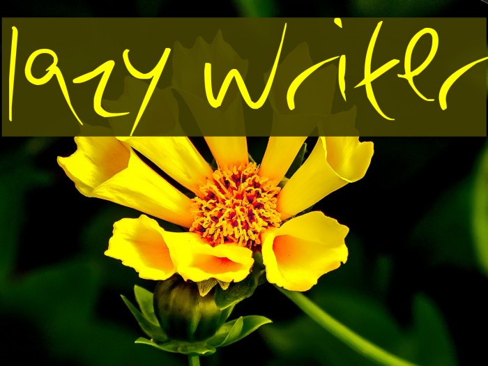 lazy writer Font examples