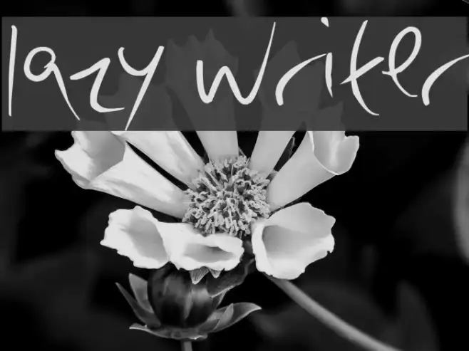 lazy writer Example 3