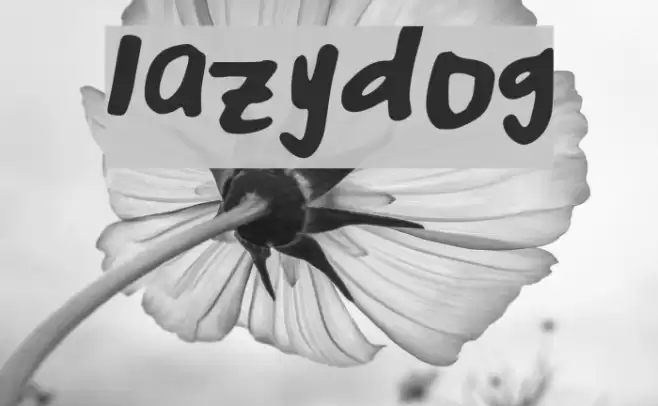 lazy_dog Font examples