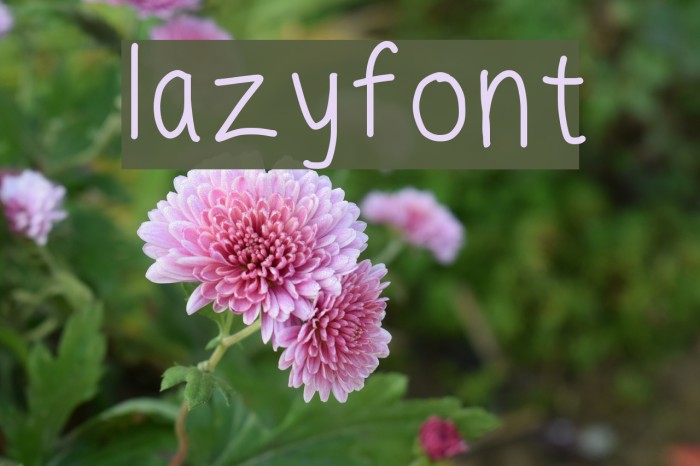 lazyfont Example 3