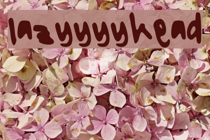 lazyyyyhead Example 2