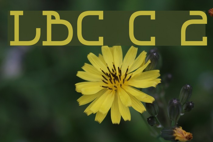 LBC Cool 2 Font examples