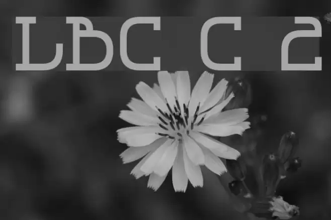 LBC Cool 2 フォント examples