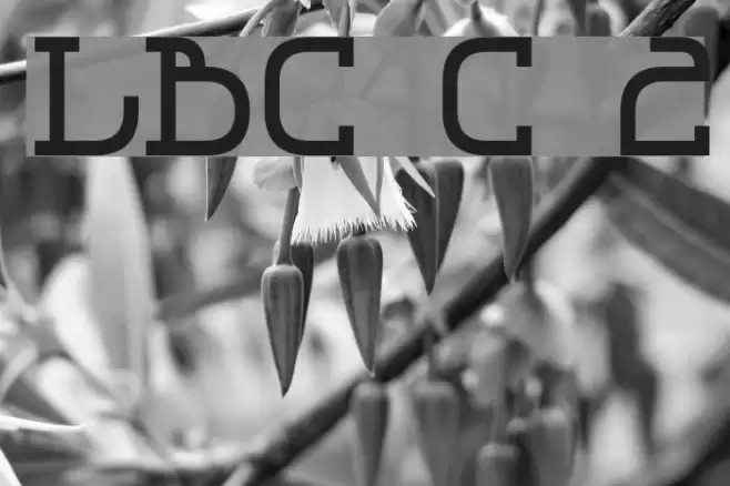 LBC Cool 2 フォント examples