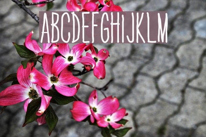 LBP2 Font examples