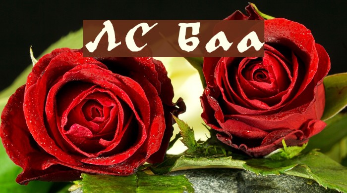 LC Bagira フォント examples