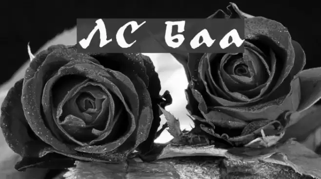 LC Bagira Font examples