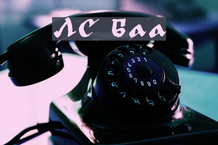 LC Bagira フォント examples