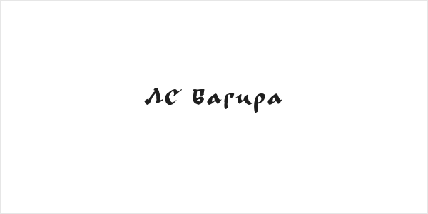 LC Bagira Logo