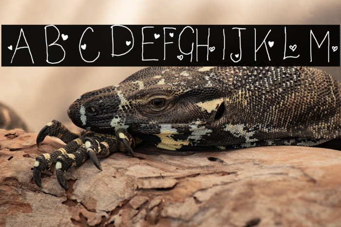 LC Look With Your Heart Example 3